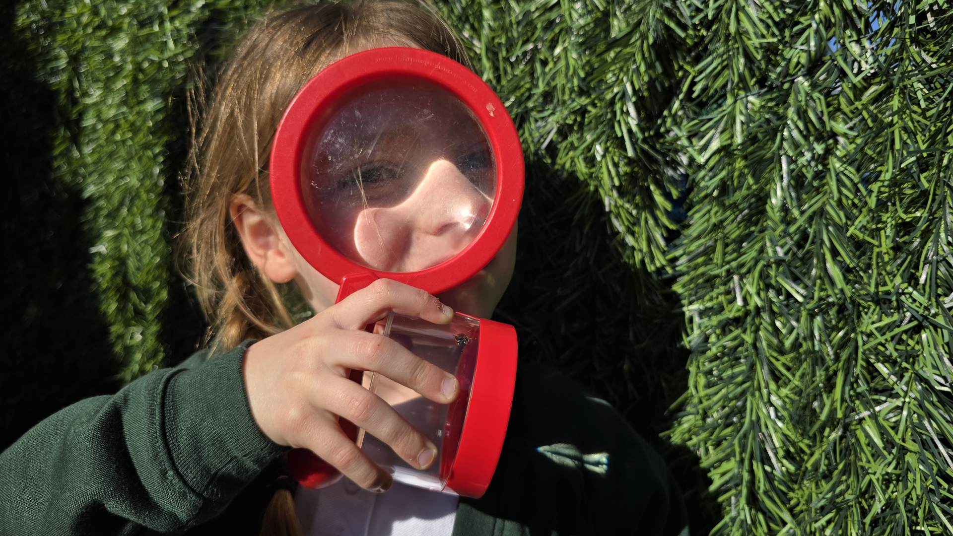 Through the magnifying glass